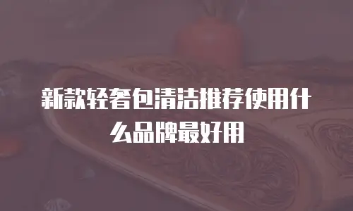 新款轻奢包清洁推荐使用什么品牌最好用