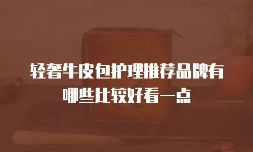 轻奢牛皮包护理推荐品牌有哪些比较好看一点