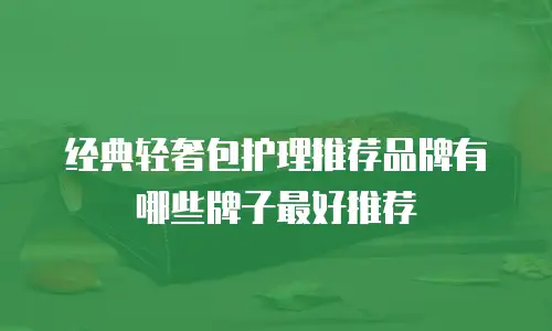 经典轻奢包护理推荐品牌有哪些牌子最好推荐