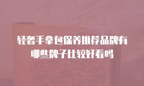 轻奢手拿包保养推荐品牌有哪些牌子比较好看吗