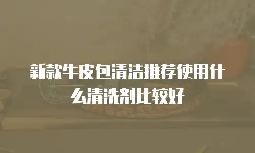 新款牛皮包清洁推荐使用什么清洗剂比较好