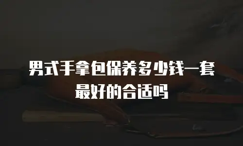 男式手拿包保养多少钱一套最好的合适吗
