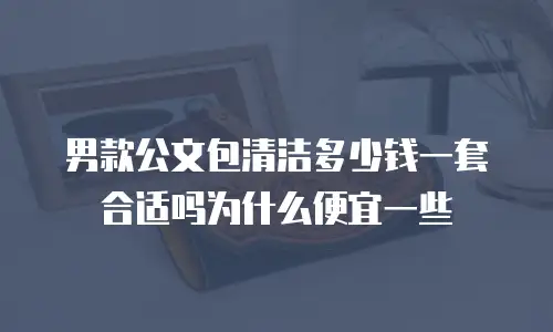 男款公文包清洁多少钱一套合适吗为什么便宜一些