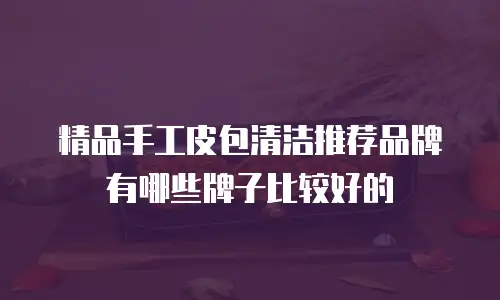 精品手工皮包清洁推荐品牌有哪些牌子比较好的