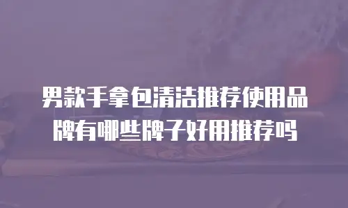 男款手拿包清洁推荐使用品牌有哪些牌子好用推荐吗