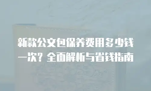 新款公文包保养费用多少钱一次？全面解析与省钱指南