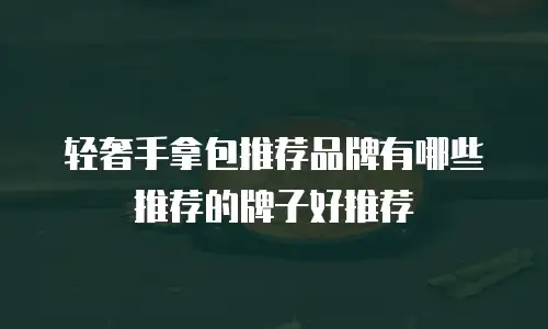 轻奢手拿包推荐品牌有哪些推荐的牌子好推荐