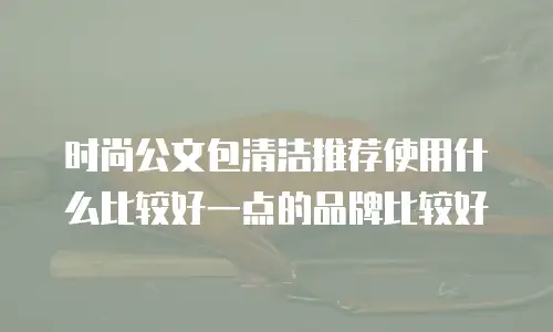 时尚公文包清洁推荐使用什么比较好一点的品牌比较好