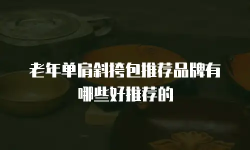 老年单肩斜挎包推荐品牌有哪些好推荐的