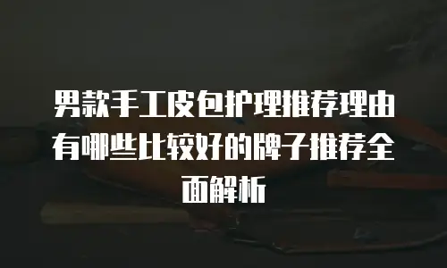男款手工皮包护理推荐理由有哪些比较好的牌子推荐全面解析