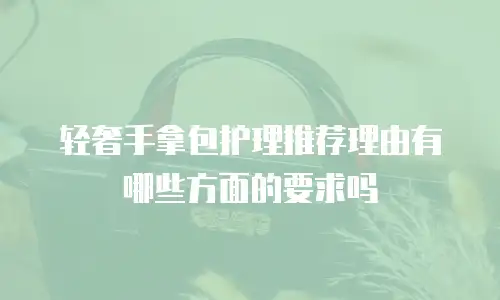 轻奢手拿包护理推荐理由有哪些方面的要求吗