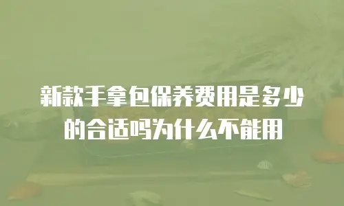 新款手拿包保养费用是多少的合适吗为什么不能用