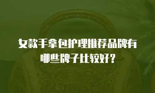 女款手拿包护理推荐品牌有哪些牌子比较好？