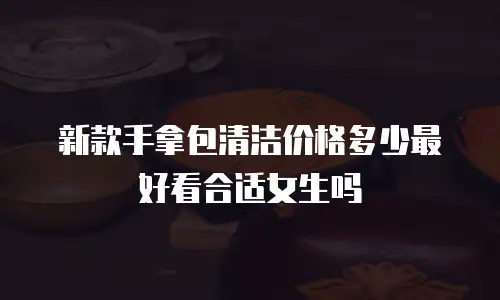 新款手拿包清洁价格多少最好看合适女生吗