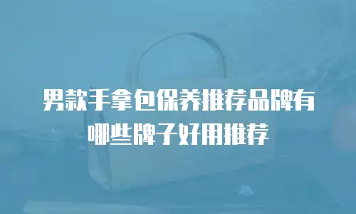 男款手拿包保养推荐品牌有哪些牌子好用推荐