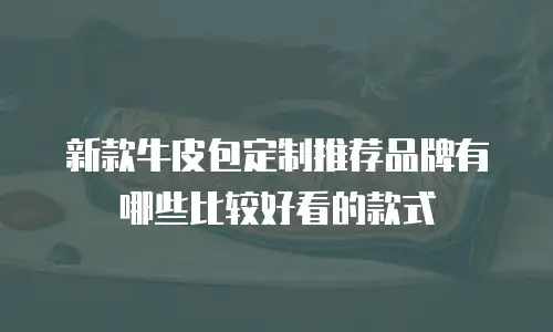 新款牛皮包定制推荐品牌有哪些比较好看的款式