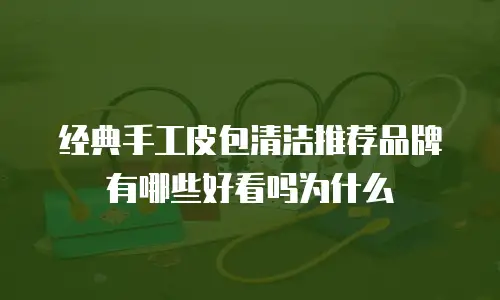 经典手工皮包清洁推荐品牌有哪些好看吗为什么