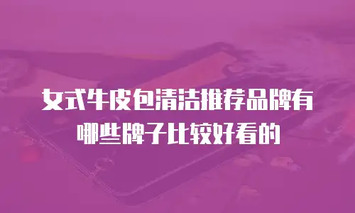 女式牛皮包清洁推荐品牌有哪些牌子比较好看的