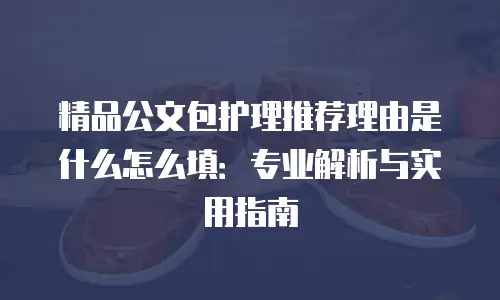 精品公文包护理推荐理由是什么怎么填：专业解析与实用指南