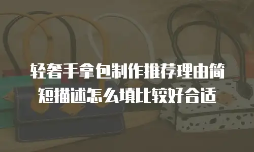 轻奢手拿包制作推荐理由简短描述怎么填比较好合适