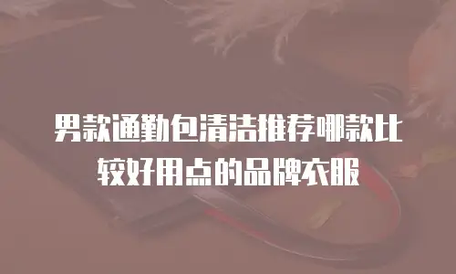 男款通勤包清洁推荐哪款比较好用点的品牌衣服
