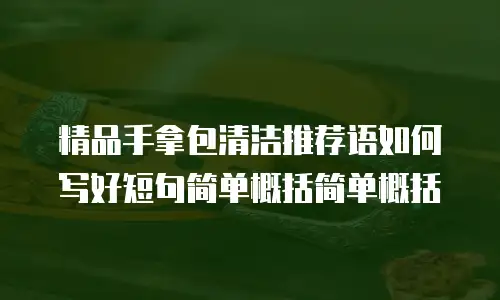 精品手拿包清洁推荐语如何写好短句简单概括简单概括