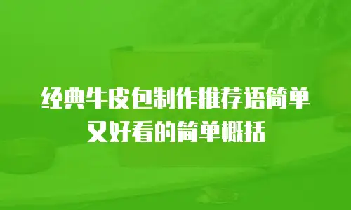 经典牛皮包制作推荐语简单又好看的简单概括