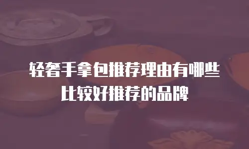 轻奢手拿包推荐理由有哪些比较好推荐的品牌