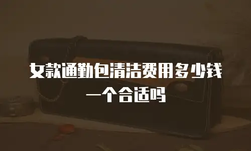 女款通勤包清洁费用多少钱一个合适吗