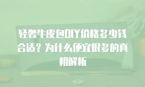 轻奢牛皮包DIY价格多少钱合适？为什么便宜很多的真相解析