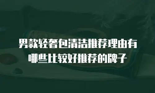 男款轻奢包清洁推荐理由有哪些比较好推荐的牌子