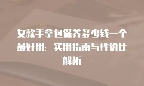 女款手拿包保养多少钱一个最好用：实用指南与性价比解析