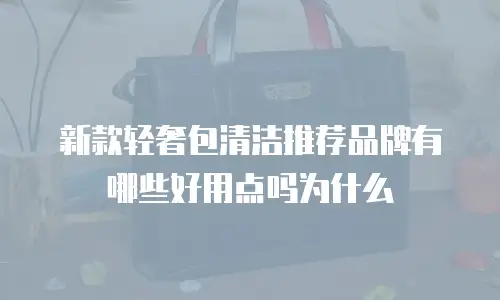 新款轻奢包清洁推荐品牌有哪些好用点吗为什么