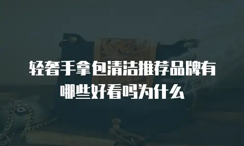 轻奢手拿包清洁推荐品牌有哪些好看吗为什么