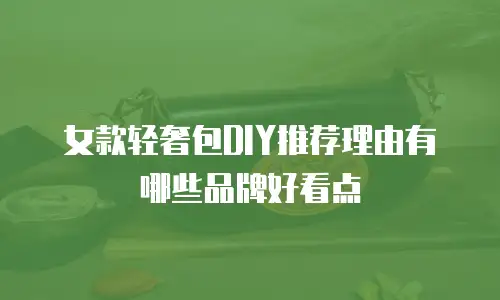 女款轻奢包DIY推荐理由有哪些品牌好看点