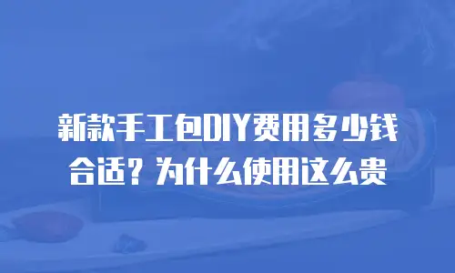 新款手工包DIY费用多少钱合适？为什么使用这么贵