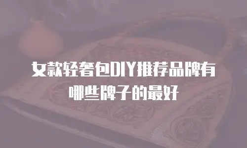 女款轻奢包DIY推荐品牌有哪些牌子的最好