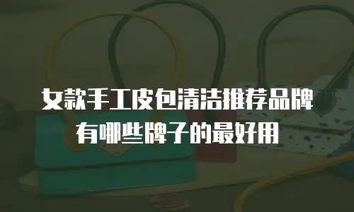 女款手工皮包清洁推荐品牌有哪些牌子的最好用