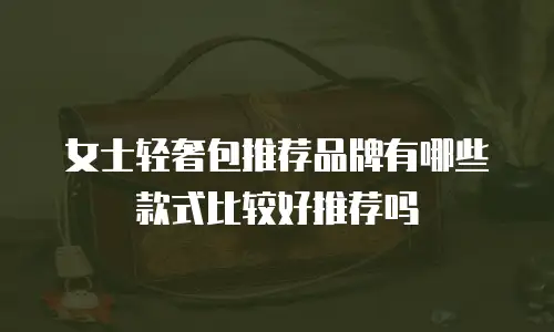 女士轻奢包推荐品牌有哪些款式比较好推荐吗
