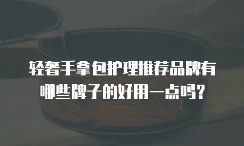轻奢手拿包护理推荐品牌有哪些牌子的好用一点吗？