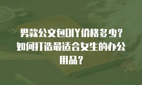 男款公文包DIY价格多少？如何打造最适合女生的办公用品？