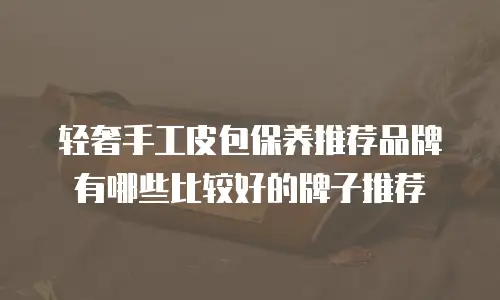 轻奢手工皮包保养推荐品牌有哪些比较好的牌子推荐