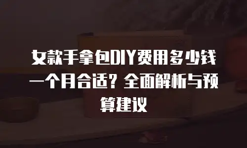 女款手拿包DIY费用多少钱一个月合适？全面解析与预算建议