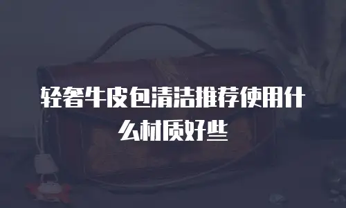 轻奢牛皮包清洁推荐使用什么材质好些