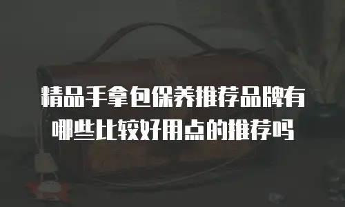 精品手拿包保养推荐品牌有哪些比较好用点的推荐吗
