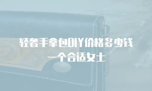轻奢手拿包DIY价格多少钱一个合适女士