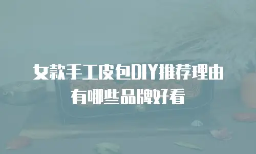 女款手工皮包DIY推荐理由有哪些品牌好看