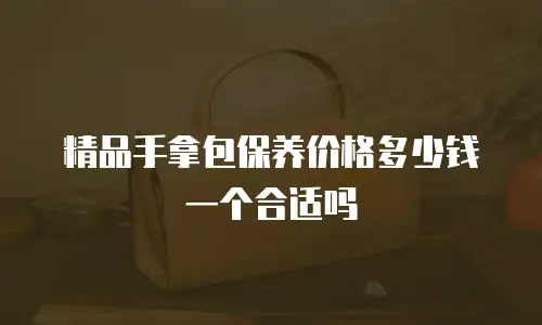 精品手拿包保养价格多少钱一个合适吗