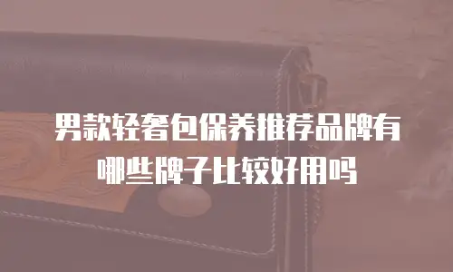 男款轻奢包保养推荐品牌有哪些牌子比较好用吗