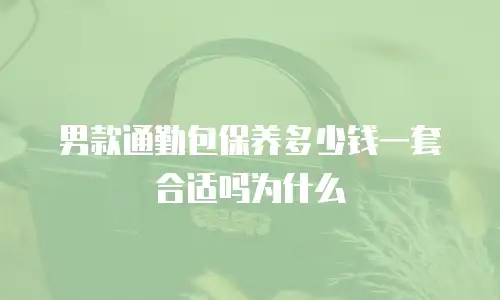 男款通勤包保养多少钱一套合适吗为什么